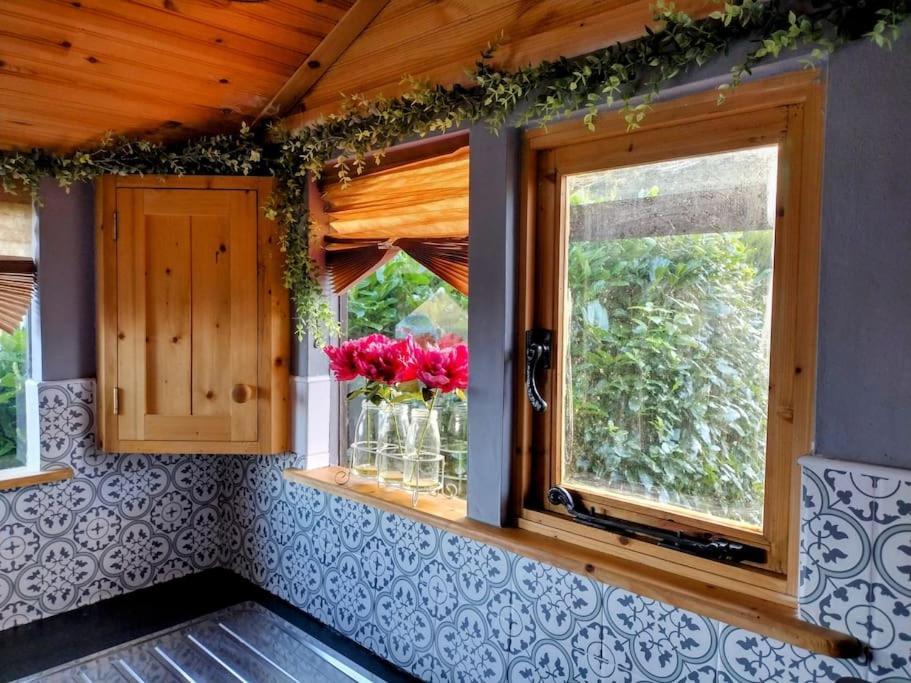 Forest View Cabin Ballaghaderreen Exterior foto